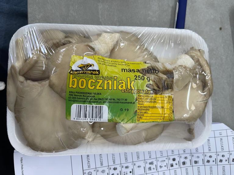 Nấm bào ngư Kaczmarek 250g