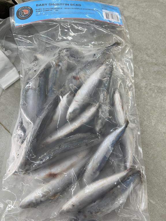 Cá nục con nhỏ Asian Pearl 850g