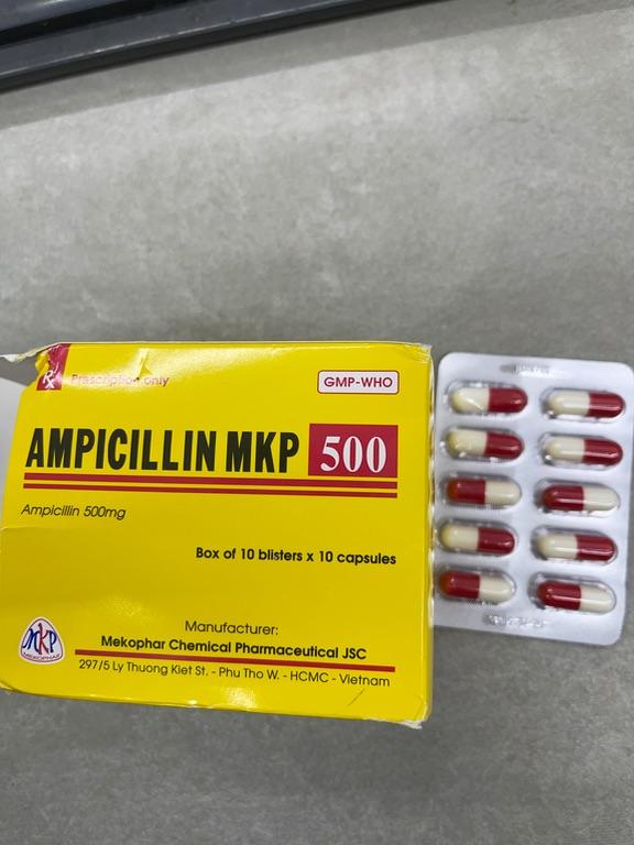 Ampicillin MKP 500mg